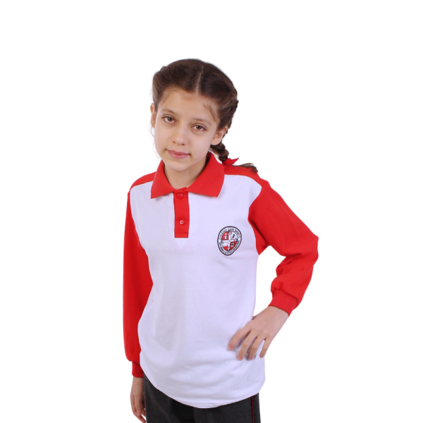 Polera manga larga