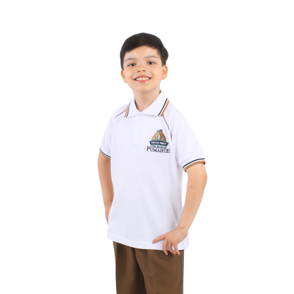Polera Institucional Unisex